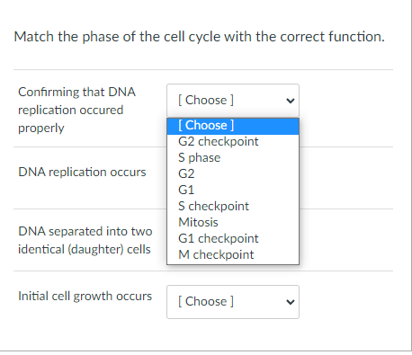 Match the phase of the cell cycle with the correct function.
Confirming that DNA
[ Choose ]
replication occured
[ Choose ]
G2 checkpoint
S phase
G2
properly
DNA replication occurs
G1
S checkpoint
Mitosis
DNA separated into two
G1 checkpoint
M checkpoint
identical (daughter) cells
Initial cell growth occurs
[ Choose ]
