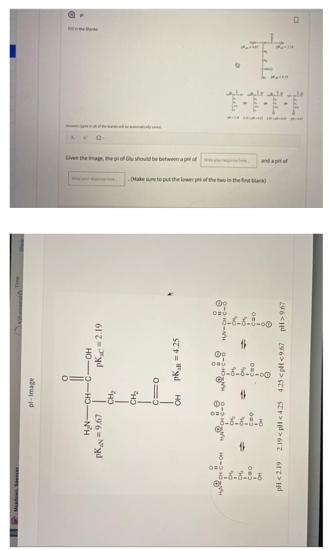 I
Show
4/20 answered Time
Meadows. Spencer
pl-Image
a pl
Fill in the Blanks
in
all of the blanks will be automatically sa
x₁ x 22.
o=c
H₂N-CH-C-OH
Write your response here...(Make sure to put the lower pH of the two in the first blank)
pKac = 2.19
Given the image, the pl of Glu should be between a pH of write your response here and a pH of
pKaN = 9.67
CH₂
CH₂
C=0
pKar = 4.25
OH
©
0
H₂N-CH--
AN---
THFI
=1
O=:
CH-C-O
CH₂
CH₂
C=O
www
CH₂
CH₂
C=O
L
OH
****425
H₂NCH-C-OH
CH₂
CH₂
C=O
OH
pH > 9.67
pH<219 2.19<pH<425 4.25<pH<9.67