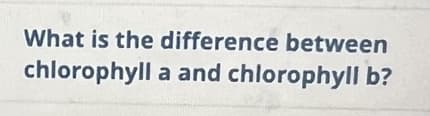 What is the difference between
chlorophyll a and chlorophyll b?