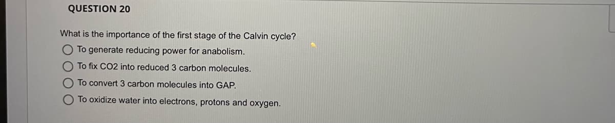 QUESTION 20
What is the importance of the first stage of the Calvin cycle?
To generate reducing power for anabolism.
To fix CO2 into reduced 3 carbon molecules.
To convert 3 carbon molecules into GAP.
O To oxidize water into electrons, protons and oxygen.
