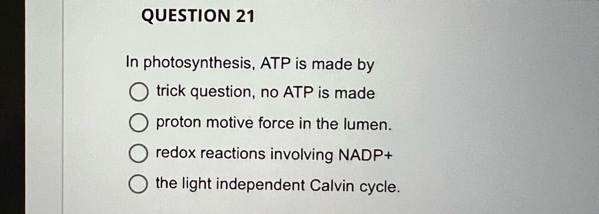 QUESTION 21
In photosynthesis, ATP is made by
O trick question, no ATP is made
O proton motive force in the lumen.
redox reactions involving NADP+
the light independent Calvin cycle.
