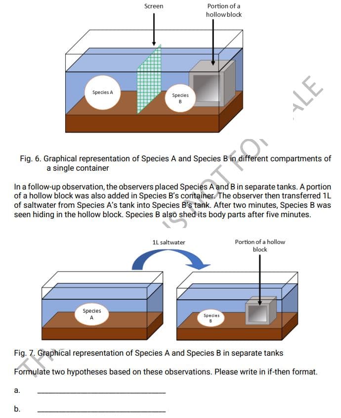 Screen
Portion of a
hollowblock
Species A
Species
B
Fig. 6. Graphical representation of Species A and Species Bin different compartments of
a single container
In a follow-up observation, the observers placed Species A and B in separate tanks. A portion
of a hollow block was also added in Species B's container. The observer then transferred 1L
of saltwater from Species A's tank into Species B's tank. After two minutes, Species B was
seen hiding in the hollow block. Species B also shed its body parts after five minutes.
1l saltwater
Portion of a hollow
block
Species
Species
A
Fig. 7. Graphical representation of Species A and Species B in separate tanks
Formulate two hypotheses based on these observations. Please write in if-then format.
а.
b.
ALE
