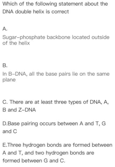 Which of the following statement about the
DNA double helix is correct
А.
Sugar-phosphate backbone located outside
of the helix
В.
In B-DNA, all the base pairs lie on the same
plane
C. There are at least three types of DNA, A,
B and Z-DNA
D.Base pairing occurs between A and T, G
and C
E.Three hydrogen bonds are formed between
A and T, and two hydrogen bonds are
formed between G and C.
