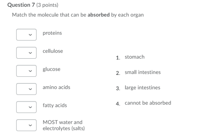 Question 7 (3 points)
Match the molecule that can be absorbed by each organ
proteins
cellulose
1. stomach
glucose
2. small intestines
amino acids
3. large intestines
fatty acids
4. cannot be absorbed
MOST water and
electrolytes (salts)
>
>
