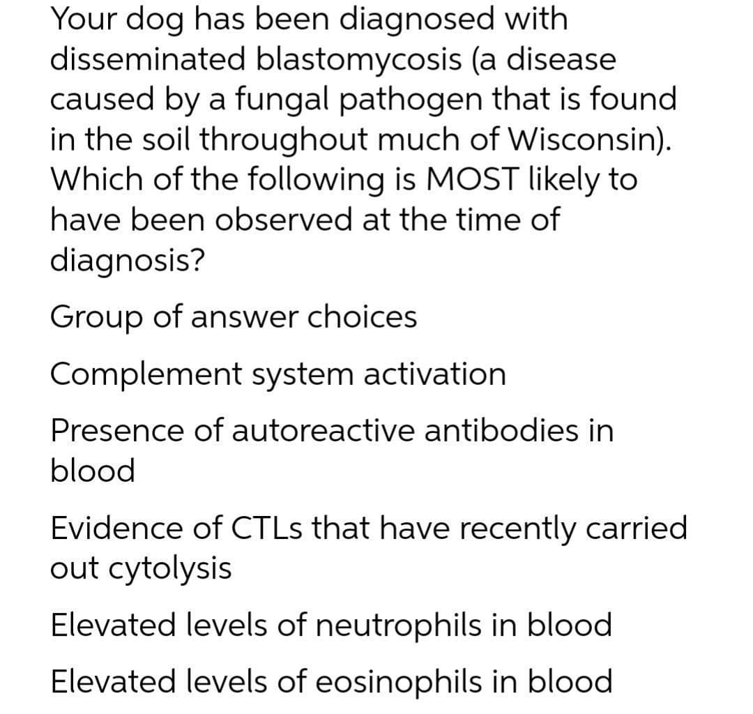 Your dog has been diagnosed with
disseminated blastomycosis (a disease
caused by a fungal pathogen that is found
in the soil throughout much of Wisconsin).
Which of the following is MOST likely to
have been observed at the time of
diagnosis?
Group of answer choices
Complement system activation
Presence of autoreactive antibodies in
blood
Evidence of CTLS that have recently carried
out cytolysis
Elevated levels of neutrophils in blood
Elevated levels of eosinophils in blood
