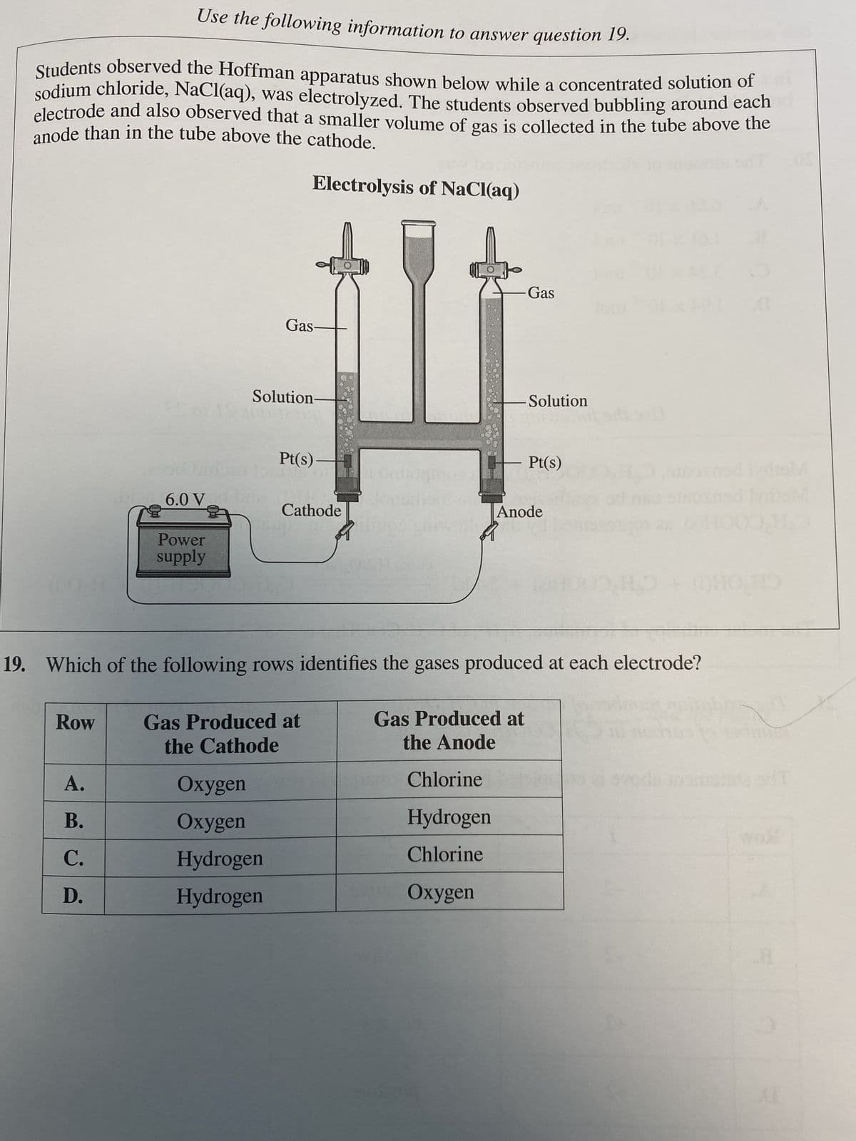 Use the following information to answer question 19.
Students observed the Hoffman apparatus shown below while a concentrated solution of
sodium chloride, NaCl(aq), was electrolyzed. The students observed bubbling around each
anode than in the tube above the cathode.
electrode and also observed that a smaller volume of gas is collected in the tube above the
(00:4
Row
6.0 V
A.
B.
C.
D.
Power
supply
Electrolysis of NaCl(aq)
Gas-
Solution-
Oxygen
Oxygen
Hydrogen
Hydrogen
Pt(s)
Cathode
Gas Produced at
the Cathode
19. Which of the following rows identifies the gases produced at each electrode?
Gas
Gas Produced at
the Anode
Chlorine
Hydrogen
Chlorine
Oxygen
Solution
90
Pt(s)
Anode
H