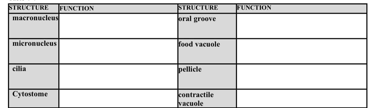 STRUCTURE
macronucleus
micronucleus
cilia
Cytostome
FUNCTION
STRUCTURE
oral groove
food vacuole
pellicle
contractile
vacuole
FUNCTION