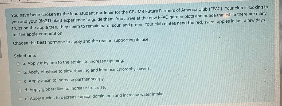 You have been chosen as the lead student gardener for the CSUMB Future Farmers of America Club (FFAC). Your club is looking to
you and your Bio211 plant experience to guide them. You arrive at the new FFAC garden plots and notice that while there are many
fruits on the apple tree, they seem to remain hard, sour, and green. Your club mates need the red, sweet apples in just a few days
for the apple competition.
Choose the best hormone to apply and the reason supporting its use:
Select one:
O a. Apply ethylene to the apples to increase ripening.
O b. Apply ethylene to slow ripening and increase chlorophyll levels.
O C. Apply auxin to increase parthenocarpy
O d. Apply gibberellins to increase fruit size.
O e. Apply auxins to decrease apical dominance and increase water intake.
