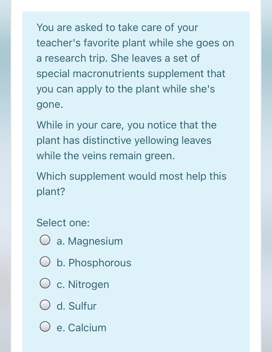 You are asked to take care of your
teacher's favorite plant while she goes on
a research trip. She leaves a set of
special macronutrients supplement that
you can apply to the plant while she's
gone.
While in your care, you notice that the
plant has distinctive yellowing leaves
while the veins remain green.
Which supplement would most help this
plant?
Select one:
O a. Magnesium
O b. Phosphorous
O c. Nitrogen
O d. Sulfur
e. Calcium
