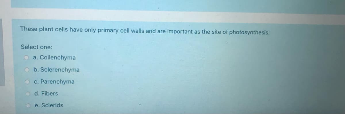 These plant cells have only primary cell walls and are important as the site of photosynthesis:
Select one:
O a. Collenchyma
Ob. Sclerenchyma
O c. Parenchyma
d. Fibers
e. Sclerids
