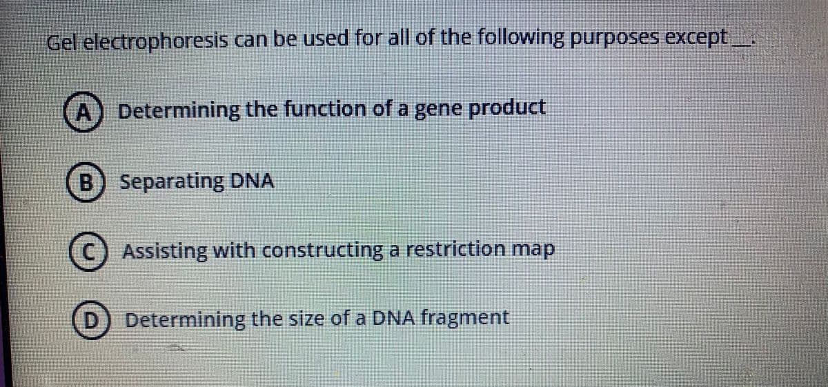 Gel electrophoresis can be used for all of the following purposes except
A) Determining the function of a gene product
B Separating DNA
(c) Assisting with constructing a restriction map
(D) Determining the size of a DNA fragment
