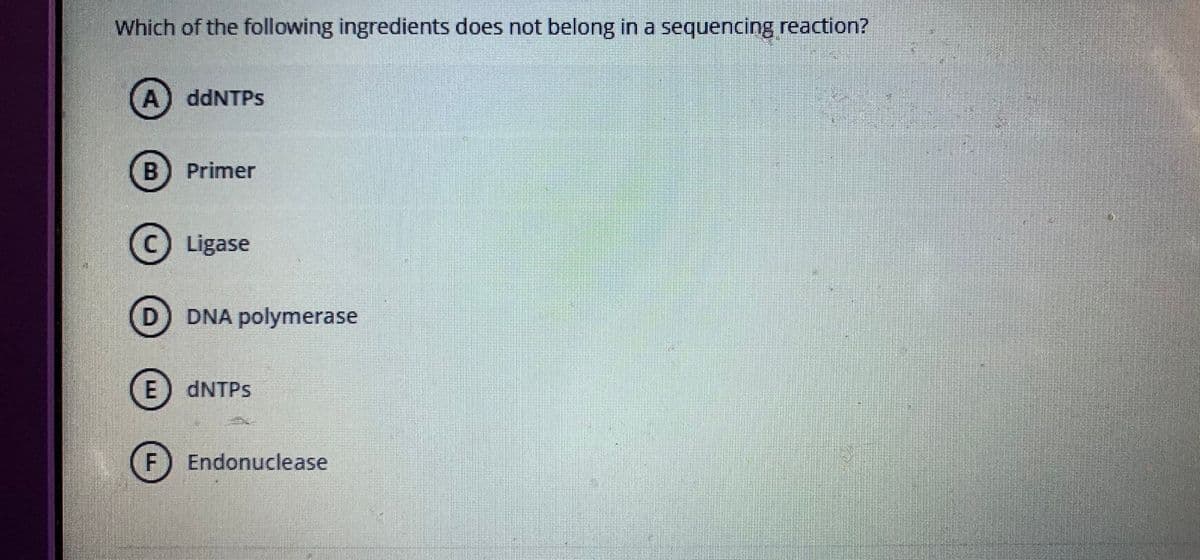 Which of the following ingredients does not belong in a sequencing reaction?
A) ddNTPs
B) Primer
(C Ligase
D) DNA polymerase
E DNTPS
(F) Endonuclease
