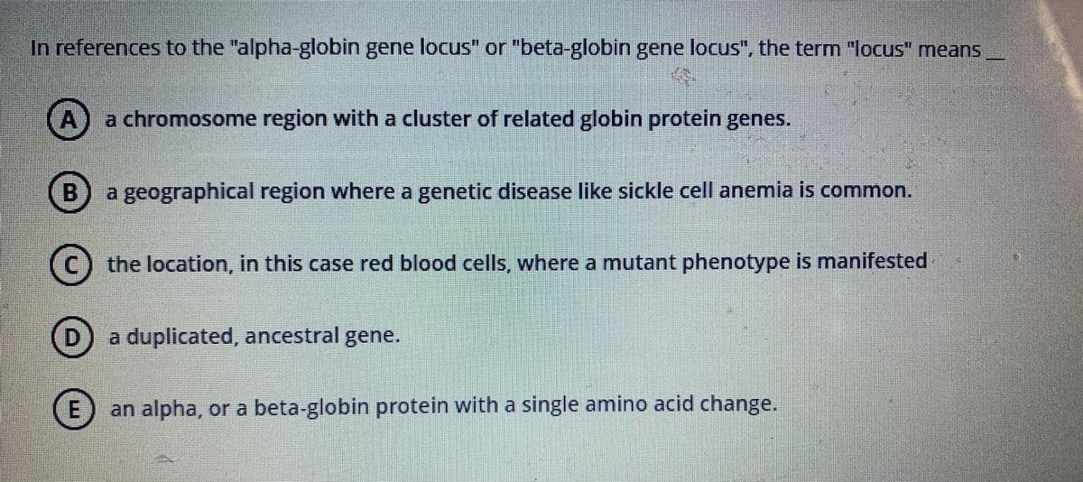 In references to the "alpha-globin gene locus" or "beta-globin gene locus", the term "locus" means
A
a chromosome region with a cluster of related globin protein genes.
B
a geographical region where a genetic disease like sickle cell anemia is common.
the location, in this case red blood cells, where a mutant phenotype is manifested
D.
a duplicated, ancestral gene.
an alpha, or a beta-globin protein with a single amino acid change.
