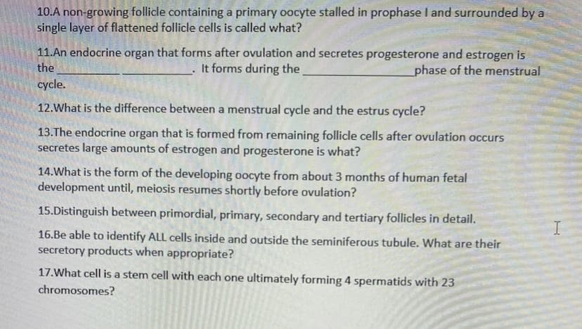 10.A non-growing follicle containing a primary oocyte stalled in prophase I and surrounded by a
single layer of flattened follicle cells is called what?
11.An endocrine organ that forms after ovulation and secretes progesterone and estrogen is
It forms during the
the
phase of the menstrual
cycle.
12.What is the difference between a menstrual cycle and the estrus cycle?
