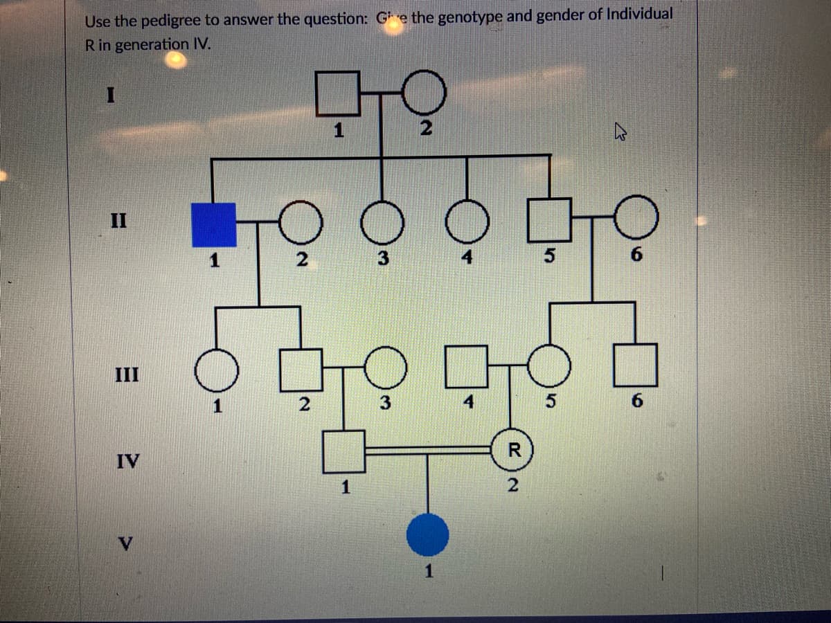 Use the pedigree to answer the question: Ge the genotype and gender of Individual
R in generation IV.
1
III
6.
R
IV
1
