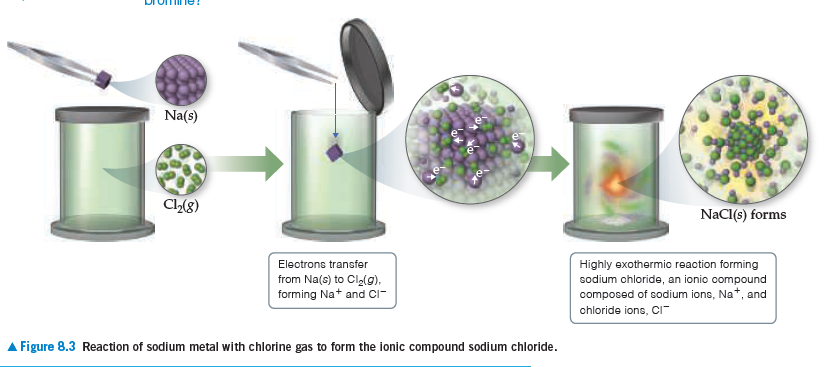 Na(s)
Cl2(8)
NaCl(s) forms
Electrons transfer
Highly exothermic reaction forming
sodium ohloride, an ionio compound
composed of sodium ions, Na*, and
from Na(6) to Cla(g),
forming Na+ and CIr-
chloride ions, CI
Figure 8.3 Reaction of sodium metal with chlorine gas to form the ionic compound sodium chloride.
