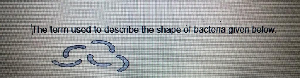 The term used to describe the shape of bacteria given below.
