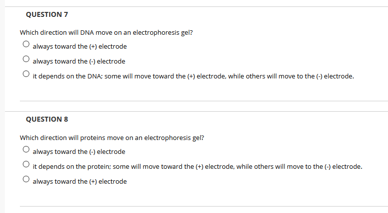 QUESTION 7
Which direction will DNA move on an electrophoresis gel?
always toward the (+) electrode
always toward the (-) electrode
O it depends on the DNA; some will move toward the (+) electrode, while others will move to the (-) electrode.
QUESTION 8
Which direction will proteins move on an electrophoresis gel?
always toward the (-) electrode
O it depends on the protein; some will move toward the (+) electrode, while others will move to the (-) electrode.
always toward the (+) electrode
