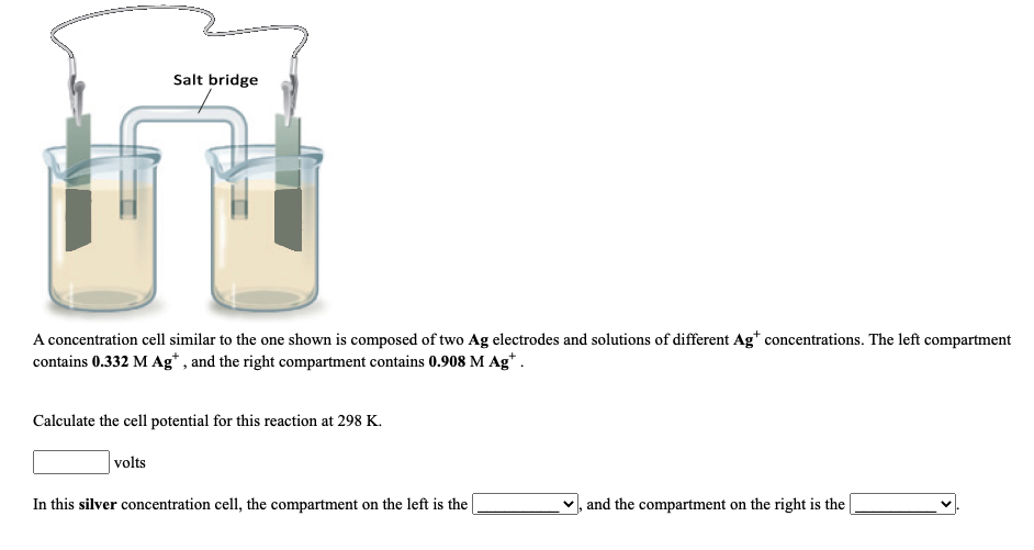 Salt bridge
A concentration cell similar to the one shown is composed of two Ag electrodes and solutions of different Ag* concentrations. The left compartment
contains 0.332 M Ag*, and the right compartment contains 0.908 M Ag*.
Calculate the cell potential for this reaction at 298 K.
volts
In this silver concentration cell, the compartment on the left is the
v, and the compartment on the right is the
