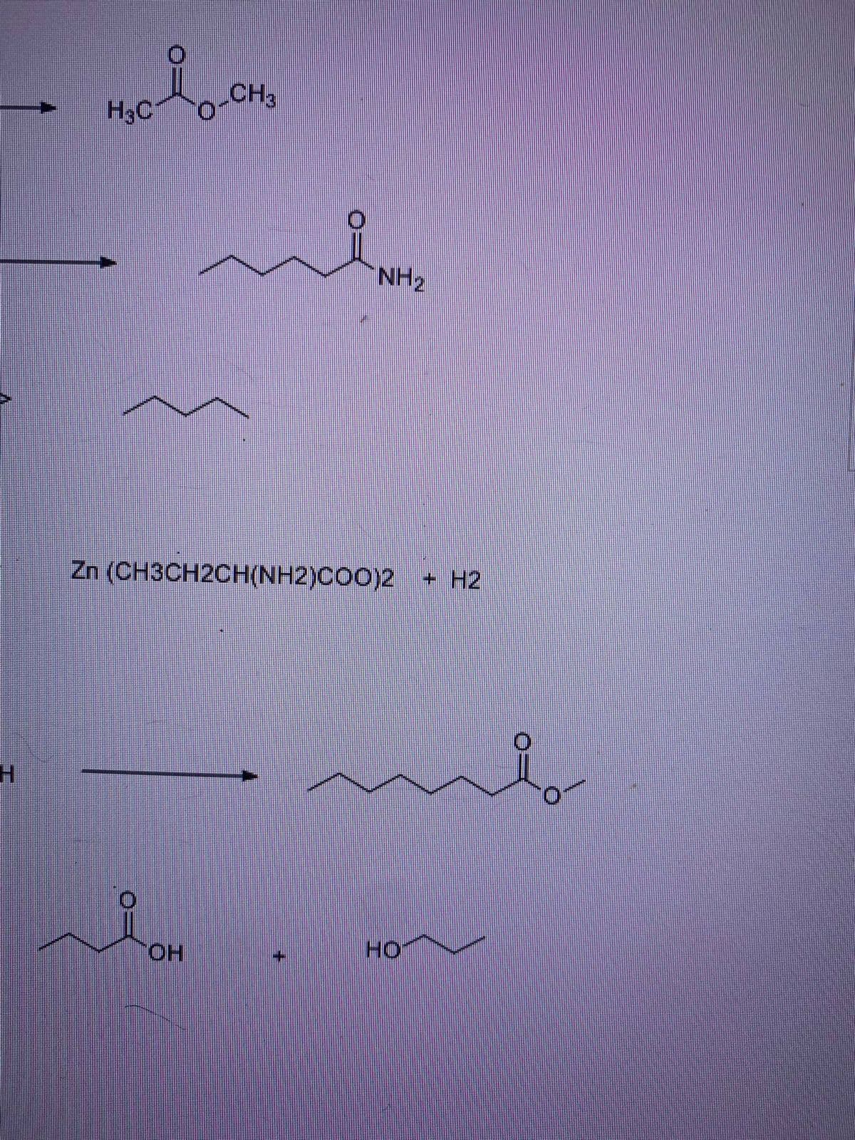 CH3
H3C
NH2
Zn (CH3CH2CH(NH2)COO)2
+ H2
HO
HO.
