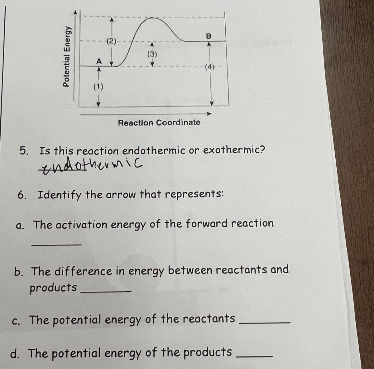 (2)
A
(4)
(1)
Reaction Coordinate
5. Is this reaction endothermic or exothermic?
¥ndothermic
6. Identify the arrow that represents:
a. The activation energy of the forward reaction
b. The difference in energy between reactants and
products
c. The potential energy of the reactants
d. The potential energy of the products
Potential Energy
