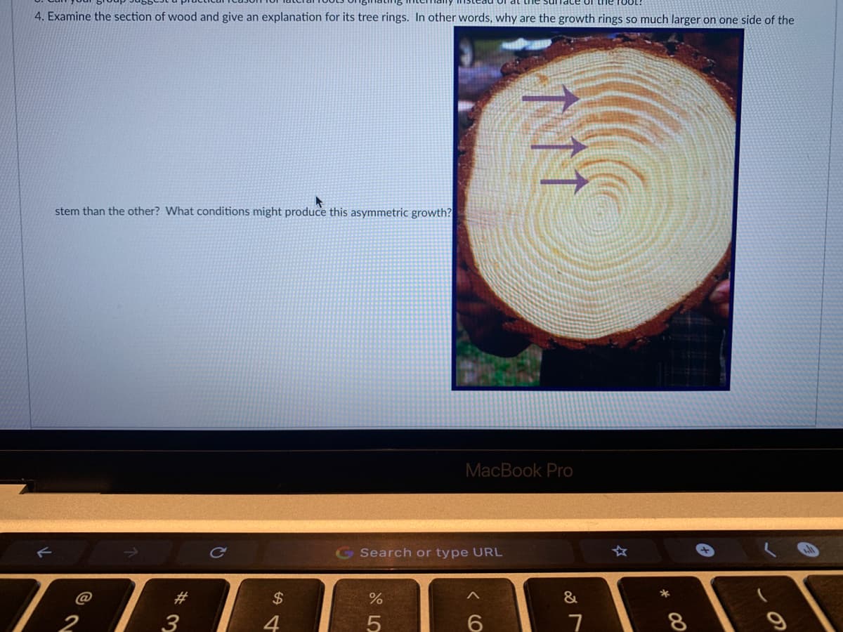 4. Examine the section of wood and give an explanation for its tree rings. In other words, why are the growth rings so much larger on one side of the
stem than the other? What conditions might produce this asymmetric growth?
MacBook Pro
G Search or type URL
☆
23
&
2
4
CO
