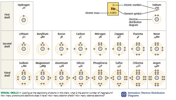 Hydrogen
2-
Atomk number.
Hellum
Не
2He
Atomic mass-
-4.003
Element symbol-
First
shell
Electron-
distribution
diagram
Lithlum
Beryllium
Be
Boron
Carbon
Fluorine
Nitrogen
N
Oxygen
Neon
gF
10Ne
Second
shell
88
88
88
88
Sodium
Magneslum
12Mg
Aluminum
1Al
silicon
14S1
Phosphorus
15P
Sulfur
165
Chlorine
17d
Argon
1Ar
Third
shell
88
88
88
88
o0 00
VISUAL SKILLS > Looking at the depictions of atoms in this chart, what is the atomic number of magnasium?
How many protons and alactrons doas it have? How many elactron shella? How many valance olactrons?
Animation: Electron Distribution
Diagrams
88
