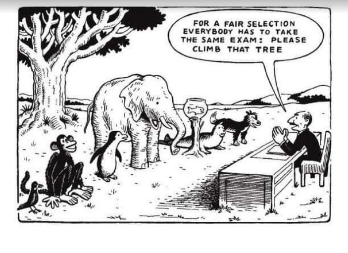 FOR A FAIR SELECTION
EVERYBODY HAS TO TAKE
THE SAME EXAM: PLEASE
CLIMB THAT TREE
