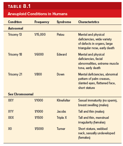 TABLE 8.1
Aneuplold Conditions In Humans
Condition
Frequency
Syndrome
Characteristics
Autosomal
Mental and physical
deficiencies, wide variety
of defects in organs, large
triangular nose, early death
Trisomy 13
1/15,000
Patau
Trisomy 18
Mental and physical
deficiencies, facial
abnormalities, extreme muscle
tone, early death
1/6000
Edward
Trisomy 21
1/800
Down
Mental deficiencies, abnormal
pattern of palm creases,
slanted eyes, flattened face,
short stature
Sex Chromosomal
Klinefelter
Sexual immaturity (no sperm),
breast swelling (males)
XXY
1/1000
XYY
V1000
Jacobs
Tall and thin (males)
XXX
1500
Triple X
Tall and thin, menstrual
irregularity (females)
Short stature, webbed
neck, sexually undeveloped
(females)
15000
Turner
