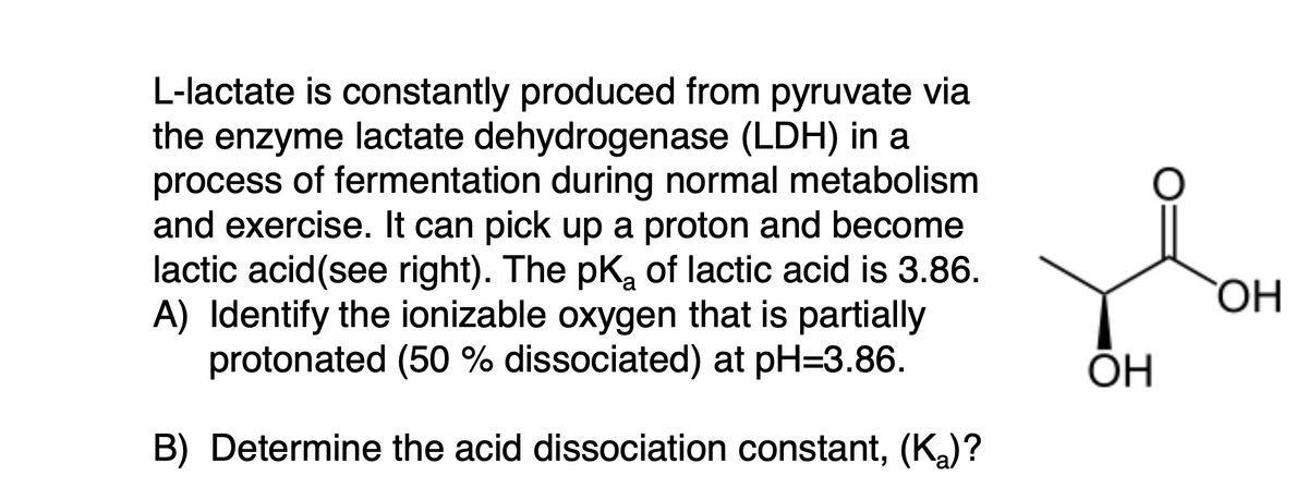 L-lactate is constantly produced from pyruvate via
the enzyme lactate dehydrogenase (LDH) in a
process of fermentation during normal metabolism
and exercise. It can pick up a proton and become
lactic acid(see right). The pK, of lactic acid is 3.86.
A) Identify the ionizable oxygen that is partially
protonated (50 % dissociated) at pH=3.86.
ÕH
B) Determine the acid dissociation constant, (Ka)?
