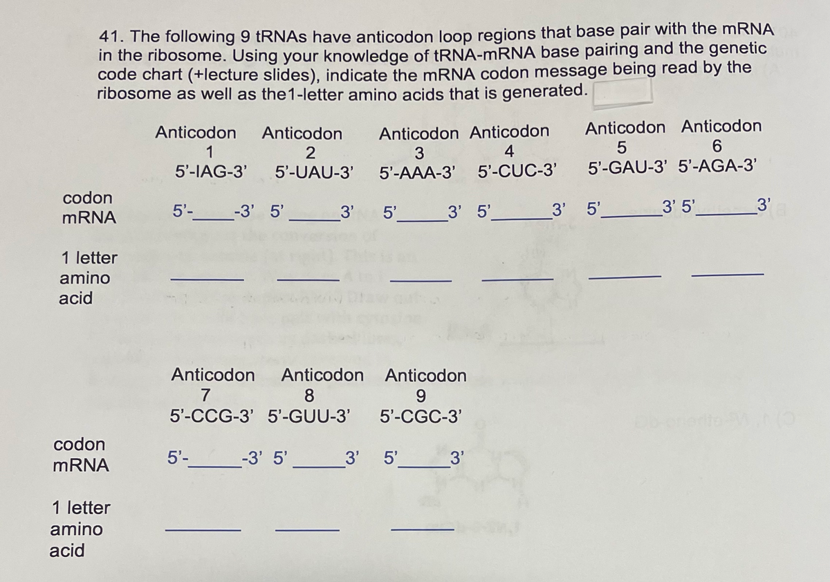 41. The following 9 TRNAS have anticodon loop regions that base pair with the mRNA
in the ribosome. Using your knowledge of tRNA-MRNA base pairing and the genetic
code chart (+lecture slides), indicate the MRNA codon message being read by the
ribosome as well as the1-letter amino acids that is generated.
Anticodon Anticodon
Anticodon Anticodon
4
Anticodon
Anticodon
6.
2
5'-IAG-3'
5'-UAU-3'
5'-АAА-3'
5'-CUC-3'
5'-GAU-3' 5'-AGA-3'
codon
MRNA
5'-__-3' 5'
3'
5'
3' 5' 3' 5'
3' 5'
3'
1 letter
amino
acid
Anticodon
Anticodon Anticodon
8
7
5'-CCG-3' 5'-GUU-3'
5'-CGC-3'
codon
5'-__-3' 5'
3' 5' _3'
mRNA
1 letter
amino
acid
