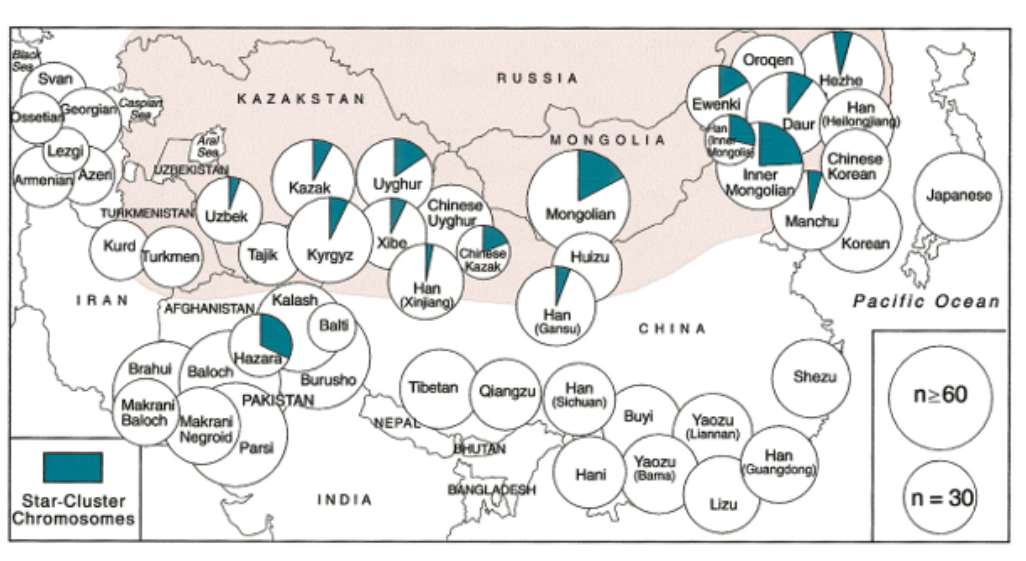 Black
Svan
Ossetian Georgian
Caspiar
Kurd
Lezgi
Armenian AzerUZBEKISTAN
TURKMENISTAN Uzbek
IRAN
Aral
Star-Cluster
Chromosomes
Turkmen
KAZAKSTAN
Brahui Baloch
Makrani
Baloch Makrani
AFGHANISTAN
Tajik Kyrgyz
Hazara
Kazak
Kalash
Negroid/Parsi
PAKISTAN
Balt
Burusho
Uyghur
INDIA
Xibe
Chinese
Uyghur
Han
Xinjiang
NEPAL
RUSSIA
Chinese
Kazak
Tibetan Qiangzu
MONGOLIA
BHUTAN
BANGLADESH
Mongolian
Han
(Gansu)
Huizu
Han
(Sichuan)
Hani
CHINA
Ewenki
Fan
Torne
Mongolia
Yaozu
(Bama)
Buyi Yaozu
(Liannan)
Orogen
Inner
Mongolian
Lizu
Han
Daur (Heilongjiang)
Hozho
Chinese
Korean
Manchu
Han
Guangdong)
Shezu
Korean
سمجھتے
Japanese
Pacific Ocean
n≥60
(n=30