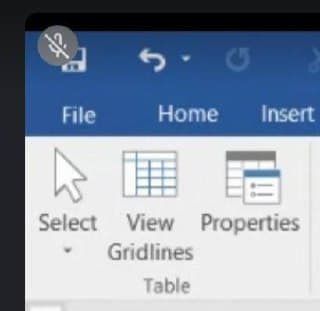 File
Home
Insert
Select View Properties
Gridlines
Table
