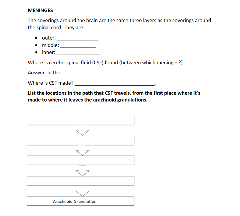 MENINGES
The coverings around the brain are the same three layers as the coverings around
the spinal cord. They are:
• outer:
middle:
inner:
Where is cerebrospinal fluid (CSF) found (between which meninges?)
Answer: in the
Where is CSF made?
List the locations in the path that CSF travels, from the first place where it's
made to where it leaves the arachnoid granulations.
3
↓
3
Arachnoid Granulation