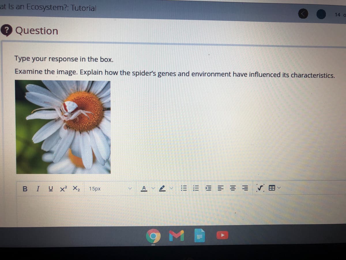 at Is an Ecosystem?: Tutorial
? Question
Type your response in the box.
Examine the image. Explain how the spider's genes and environment have influenced its characteristics.
BIUX² X₂ 15px
| D
N
14 o
MF
