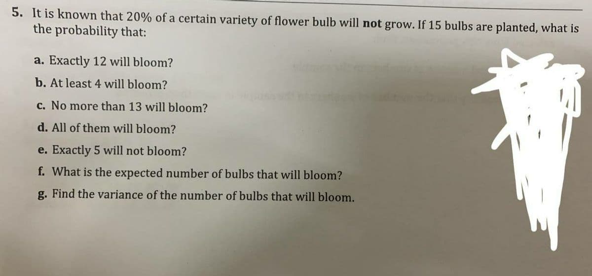 5. It is known that 20% of a certain variety of flower bulb will not grow. If 15 bulbs are planted, what is
the probability that:
a. Exactly 12 will bloom?
b. At least 4 will bloom?
c. No more than 13 will bloom?
d. All of them will bloom?
e. Exactly 5 will not bloom?
f. What is the expected number of bulbs that will bloom?
g. Find the variance of the number of bulbs that will bloom.
