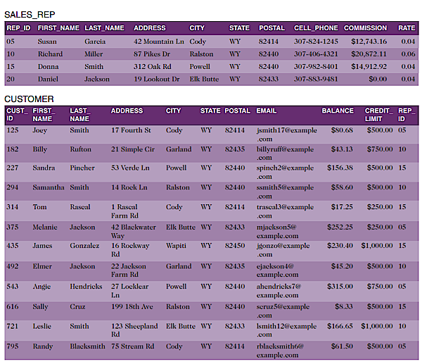 SALES_REP
REP ID FIRST NAME LAST NAME
ADDRESS
CITY
STATE
POSTAL
CELL_PHONE COMMISSION
RATE
05
Susan
Garcia
42 Mountain Ln Cody
WY
82414
307-824-1245
$12,743.16
0.04
10
Richard
Miller
87 Pikes Dr
Ralston
WY
82440
307-406-4321
$20,872.11
0.06
15
Donna
Smith
312 Oak Rd
Powell
WY
82440
307-982-8401
$14,912.92
0.04
20
Daniel
Jackson
19 Lookout Dr
Elk Butte
WY
82433
307-883-9481
$0.00
0,04
CUSTOMER
CUST_ FIRST
ID
LAST
ADDRESS
CITY
STATE POSTAL EMAIL
BALANCE
CREDIT_ REP.
LIMIT
ID
NAME
NAME
125
Joey
Smith
17 Fourth St
Cody
WY
82414
jsmith17@example
$80.68
$500.00 05
.com
182
Billy
Rufton
21 Simple Cir
Garland
WY
82435
billyruff@example
$13.13
$750.00 10
.com
227
Sandra
Pincher
53 Verde Ln
Powell
WY
82440
spinch2@example
$156.38
$500.00 15
.com
294
Samantha Smith
14 Roek Ln
Ralston
WY
82440
ssmith5@example
$58.60
$500.00 10
.com
1 Rascal
Farm Rd
314
Tom
Rascal
Cody
WY
82414
trascal3@example
$17.25
$250.00 15
.com
375
Melanie
Jackson
mjackson50
example.com
jigonzo@example
42 Blackwater
Elk Butte WY
82433
$252.25
$250.00 05
Way
16 Rockway
Rd
435
James
Gonzalez
Wapiti
WY
82450
$230.40 $1,000.00 15
.com
ejackson4@
example.com
492
Elmer
Jackson
22 Jackson
Farm Rd
Garland
WY
82435
$45.20
$500.00 10
543
Angie
Hendricks 27 Locklear
Powell
WY
82440
ahendricks7@
$315.00
$750.00 05
Ln
example.com
616
Sally
Cruz
199 18th Ave
Ralston
WY
82440
scruz5@cxample
$8.33
$500.00 15
.com
Ismith12@example
123 Sheepland Elk Butte WY
Rd
721
Leslie
Smith
82433
$166.65 $1,000.00 10
.com
795
Randy
rblacksmith6@
example.com
Blacksmith 75 Stream Rd
Cody
WY
82414
$61.50
$500.00 05
