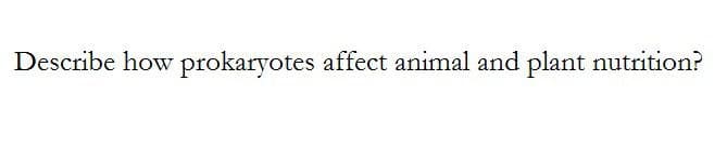 Describe how prokaryotes affect animal and plant nutrition?