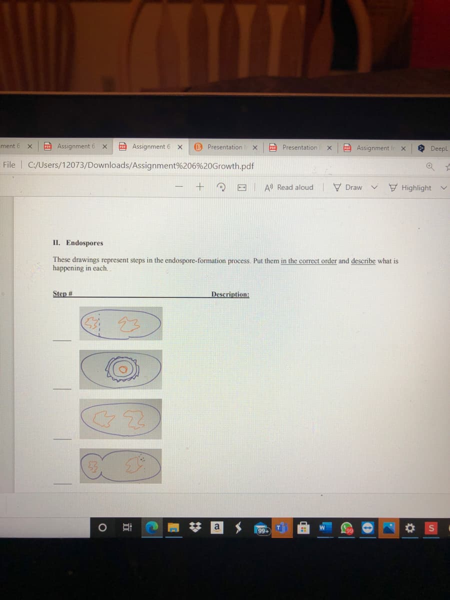ment 6
Co Assignment 6
C Assignment 6
B PresentationI
POF Presentation
COAssignment I
O Deepl
File C:/Users/12073/Downloads/Assignment%206%20Growth.pdf
A Read aloud V Draw v
F Highlight
II. Endospores
These drawings represent steps in the endospore-formation process. Put them in the correct order and describe what is
happening in each.
Step #
Description:
a
99+
近
