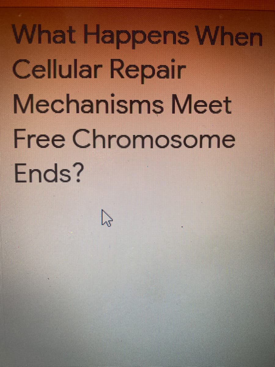 What Happens When
Cellular Repair
Mechanisms Meet
Free Chromosome
Ends?
