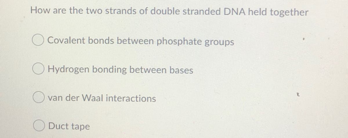 How are the two strands of double stranded DNA held together
O Covalent bonds between phosphate groups
O Hydrogen bonding between bases
van der Waal interactions
ODuct tape

