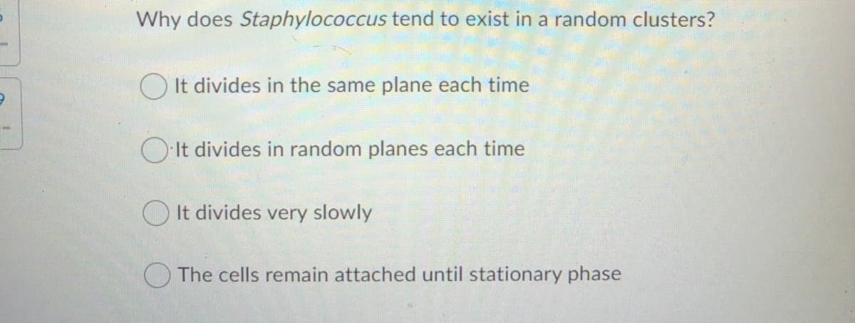 Why does Staphylococcus tend to exist in a random clusters?
O It divides in the same plane each time
OIt divides in random planes each time
O It divides very slowly
O The cells remain attached until stationary phase
