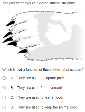 The picture shows an external animal structure.
Which is not a function of these external structures?
O A. They are used to capture prey.
O B. They are used for movement.
C. They are used to tear at food.
O D. They are used to keep the animal cool.
