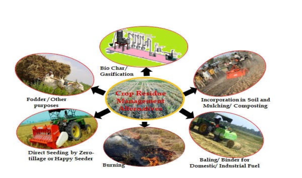 Bio Char/
Gasification
Crop Residne
Managegient
Fodder / Other
Incorporation in Soil and
Mulching/ Composting
purposes
Direct Seeding by Zero-
tillage or Happy Seeder
Baling/ Binder for
Domestic/ Industrial Fuel
Burning
