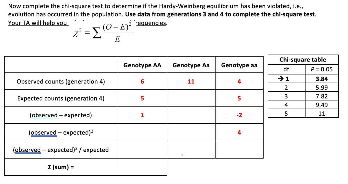 Now complete the chi-square test to determine if the Hardy-Weinberg equilibrium has been violated, i.e.,
evolution has occurred in the population. Use data from generations 3 and 4 to complete the chi-square test.
Your TA will help you
equencies.
(0 - E)
x² = E
E
Chi-square table
Genotype AA
Genotype Aa
Genotype aa
df
P = 0.05
3.84
Observed counts (generation 4)
11
4
2
5.99
7.82
Expected counts (generation 4)
4
9.49
11
(observed – expected)
-2
(observed – expected)?
4
(observed – expected)? / expected
Σ (sum)
%3D
