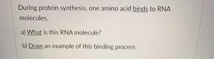 During protein synthesis, one amino acid binds to RNA
molecules.
a) What is this RNA molecule?
b) Draw an example of this binding process
