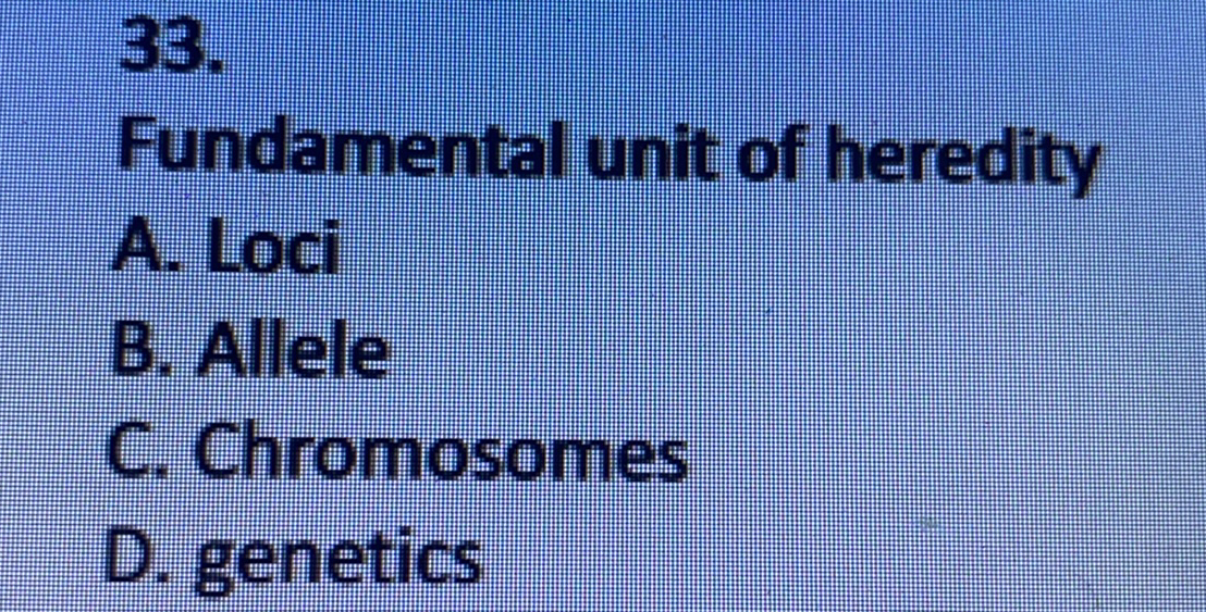 33.
Fundamental unit of heredity
A. Loci
B. Allele
C. Chromosomes
D. genetics
