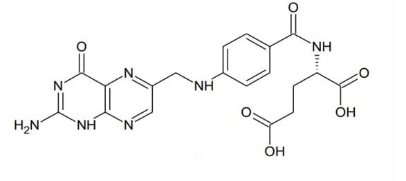 `NH
N.
N'
`NH
OH
H2N
`NH
ÓH
