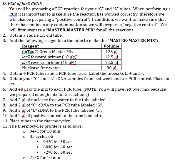 D. PCR of lacz GENE
1. You will be preparing a PCR reaction for your "G" and "L" tubes. When performing a
PCR it is important to make sure the reaction has worked correctly, therefore we
will also be preparing a "positive control". In addition, we want to make sure that
there has not been any contamination so we will prepare a "negative control". We
will first prepare a "MASTER-MASTER MIX" for all the reactions.
2. Obtain a sterile 1.5-ml tube.
3. Add the following reagents to the tube to make the "MASTER-MASTER MIX":
Reagent
GoTag® Green Master Mix
lacZ forward primer (10 µM)
lacZ reverse primer (10 µM)
Nuclease free water
Volume
125 ul
12.5 ul
12.5 µl
90 ul
4. Obtain 4 PCR tubes and a PCR tube rack. Label the tubes: G, L, + and -.
5. Obtain your "G" and "L" CDNA samples from last week and a + PCR control. Place on
ice.
6. Add 48 ylof the mix to each PCR tube. (NOTE: You will have left over mix because
we prepared enough mix for 5 reactions.)
7. Add 2 µl of nuclease free water to the tube labeled -.
8. Add 2 µl of "G" CDNA to the PCR tube labeled "G".
9. Add 2 ul of “L" CDNA to the PCR tube labeled "L".
10. Add 2 µl of positive control to the tube labeled +.
11. Place tubes in the thermocycler.
12. The thermocycler profile is as follows:
o 94°C for 10 min
o 35 cycles of:
94°C for 30 sec
• 60°C for 60 sec
72°C for 60 sec
o 72°C for 10 min
