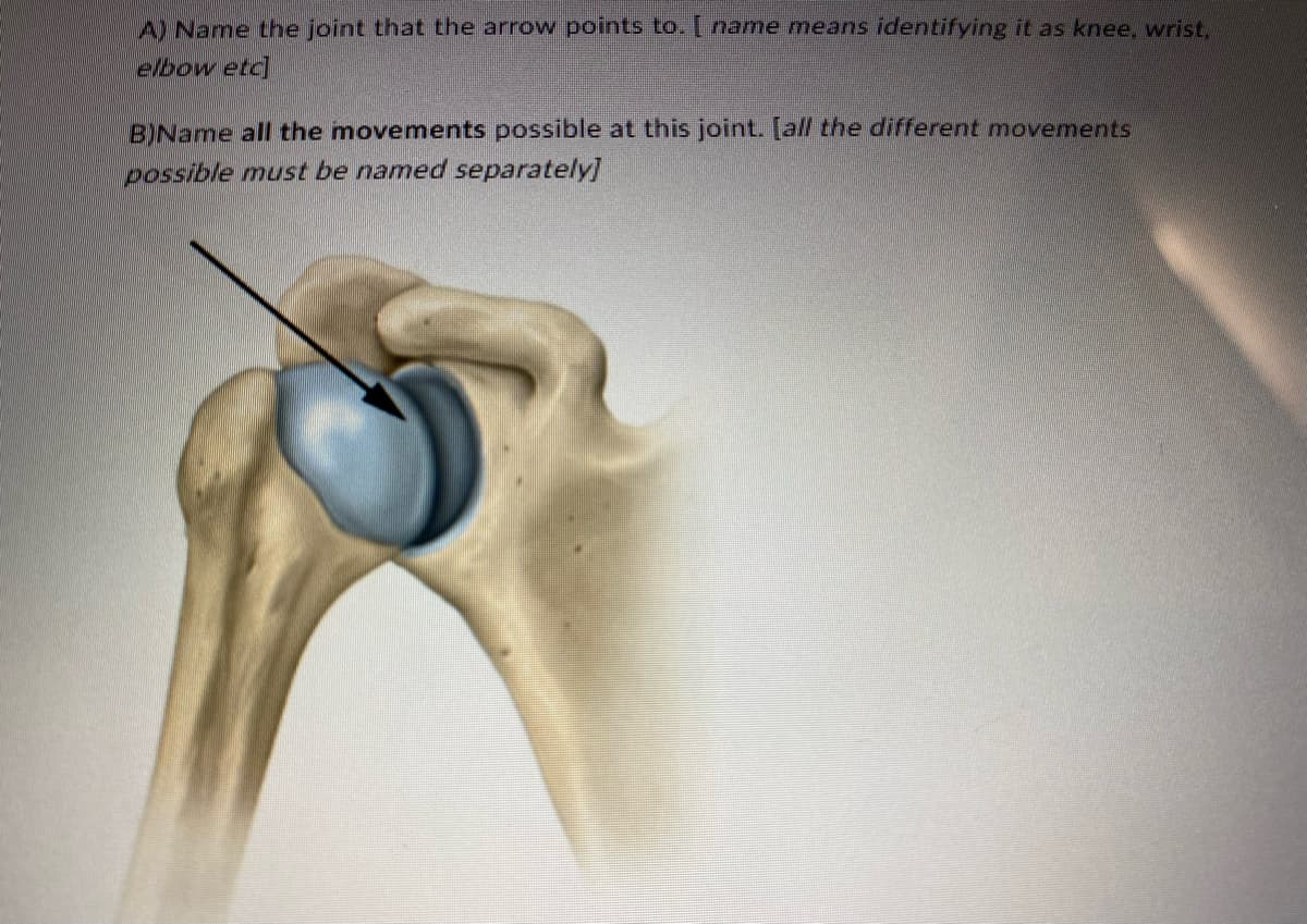 A) Name the joint that the arrow points to. [ name means identifying it as knee, wrist,
elbow etc]
B)Name all the movements possible at this joint. [all the different movements
possible must be named separately]